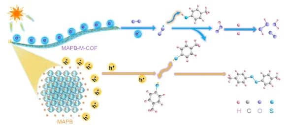 福州大学ACS Catalysis：构建0D/1D MAPbBr3/COF异质结，实现LED驱动高效S-S耦合反应