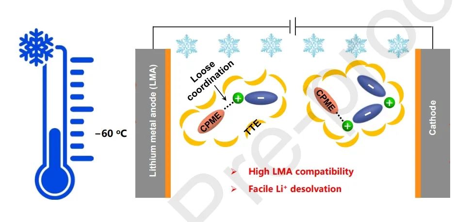 ​华科谢佳/曾子琪JEC：高浓度电解质实现-60°C锂金属电池