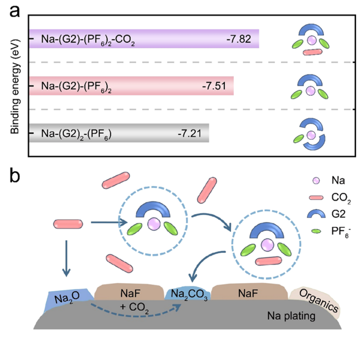 强！一周内连发Nature子刊、JACS，这个团队成果斐然！