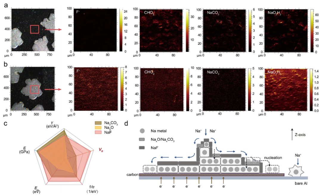 强！一周内连发Nature子刊、JACS，这个团队成果斐然！