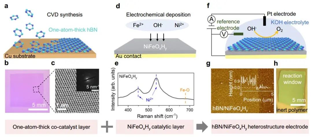 Nature子刊：原子级hBN共催化剂助力OER！