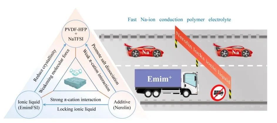 ​郑大陈卫华Angew：三角协同策略的快钠离子导电聚合物电解质用于准固态电池