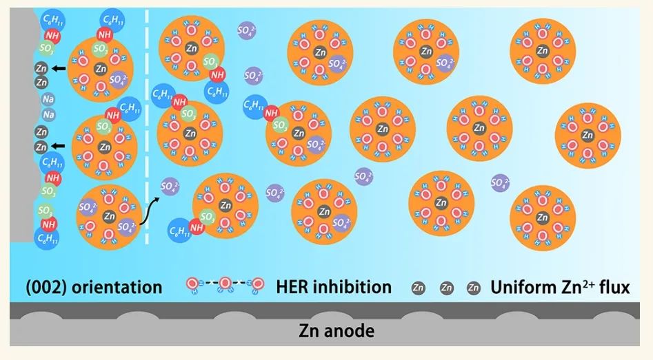 ​浙大陆盈盈/黄靖云ACS Nano：微量添加剂的原子钉扎对高可逆金属锌负极界面溶剂化的影响