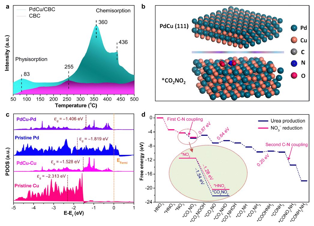 【DFT+实验】EES Catalysis：通过细菌纤维素调控的Pd-Cu双金属催化剂高效电合成尿素