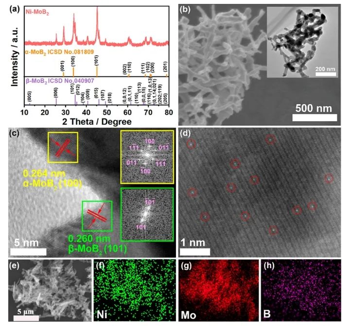 东北师范大学ACS Energy Letters：过渡金属单原子修饰MoB2，用于高效稳定电催化HER