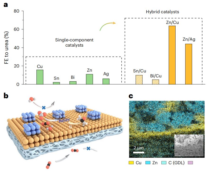 超燃！他，Nature Catalysis、Science Advances再次背靠背！