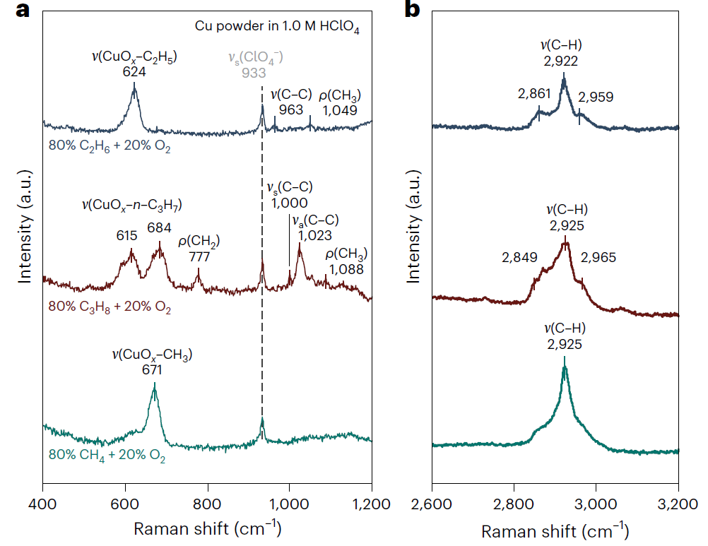 文章未动，专利先行！清北联手Nature Catalysis，破解Dream Reaction！