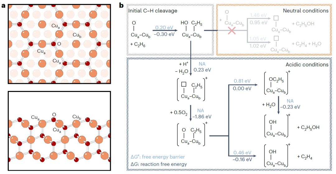 文章未动，专利先行！清北联手Nature Catalysis，破解Dream Reaction！