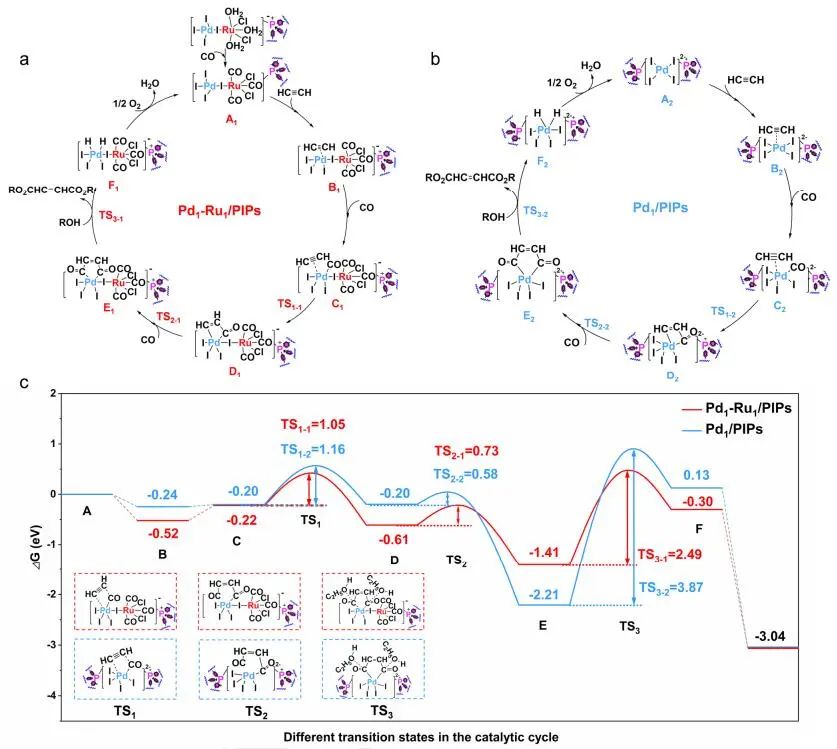 【DFT+实验】丁云杰/韩仲康Angew.：近100%选择性！Pd1-Ru1/PIPs助力乙炔双羰基化