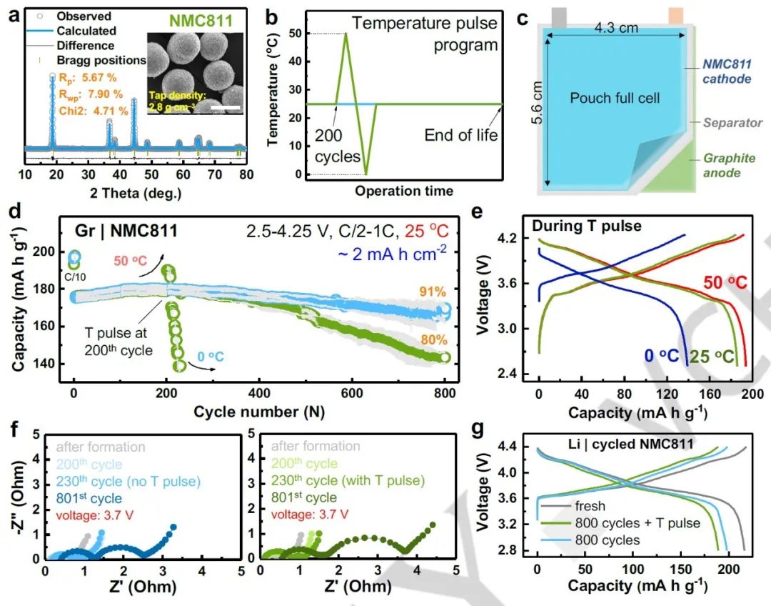 电池顶刊集锦：Angew、ACS Energy Lett.、AFM、ACS Nano等成果！