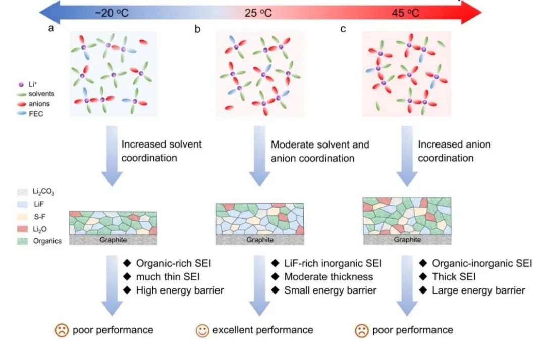 复旦夏永姚EES：石墨负极的温度响应溶剂化结构及界面化学研究