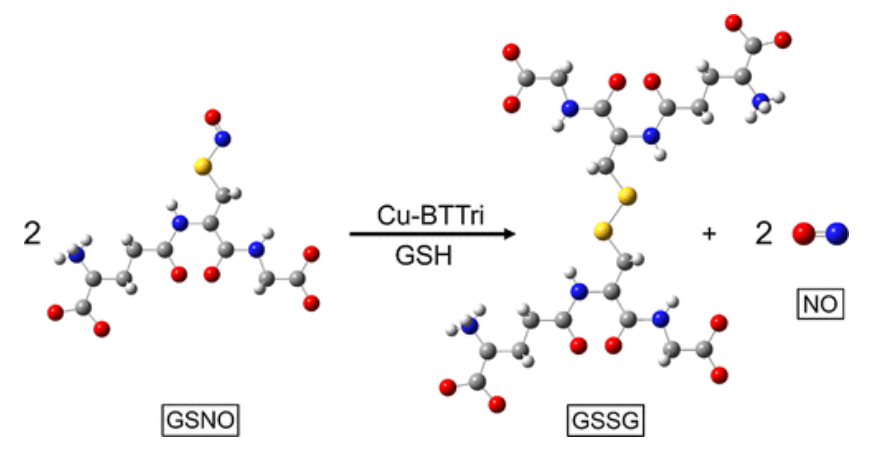 【纯计算】JACS: 铜金属-有机骨架催化S-亚硝基谷胱甘肽生成NO机制的计算研究