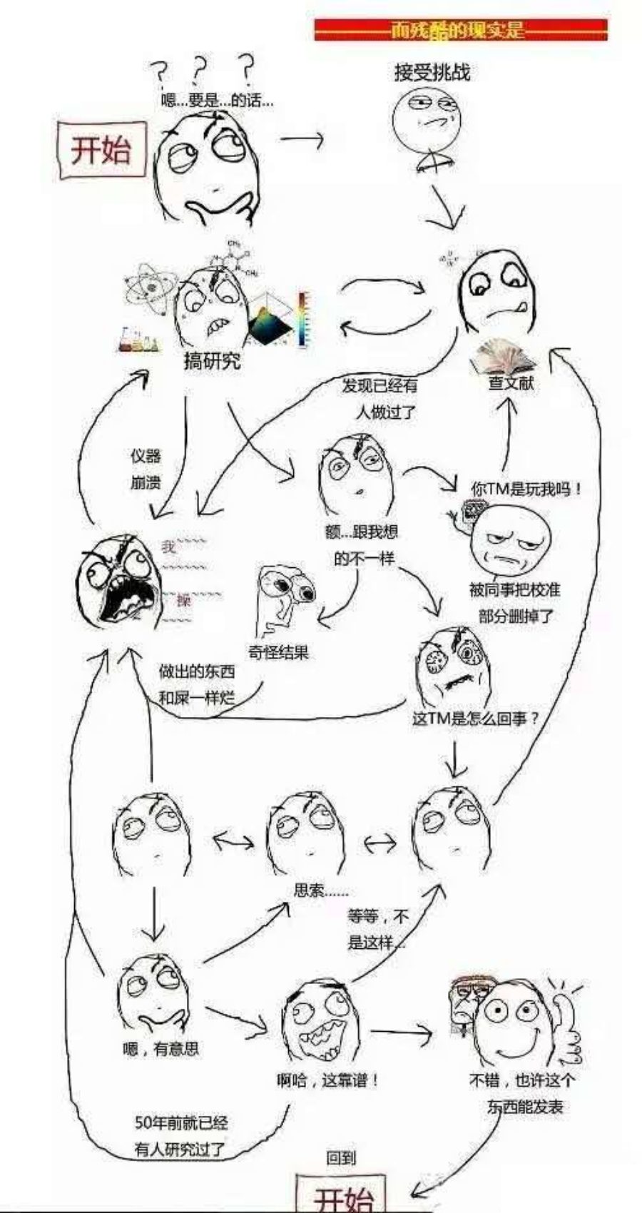 大学教师，你为什么不开心？一个王者带着一群青铜刷战绩...