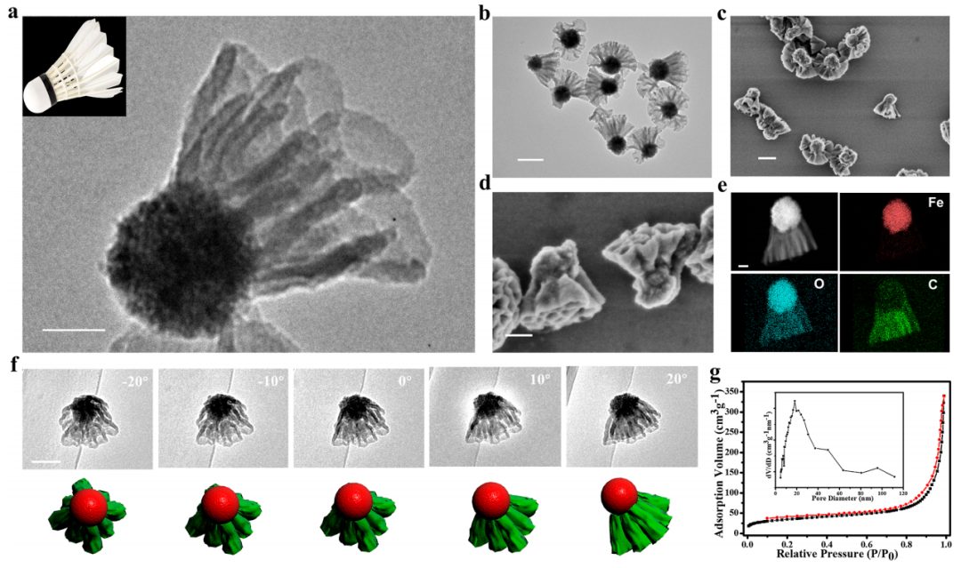 ​赵东元院士，最新JACS！