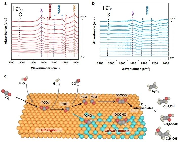 华东理工大学Nature子刊：Cu0/Cu2+界面上OC-CHO直接偶联，实现CO2选择性电还原为C2+