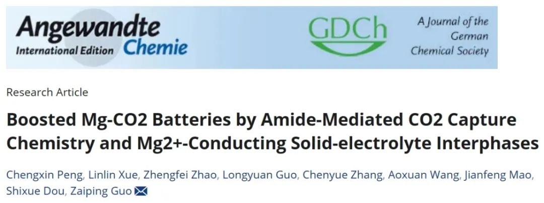 ​郭再萍Angew：酰胺介导的二氧化碳捕获化学和 Mg2+ 导电固态电解质中间层实现稳定镁-二氧化碳电池
