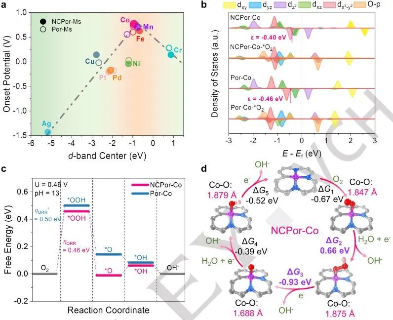 计算日报||顶刊集锦：Nature子刊/JACS/AFM/Angew/ACS Catal.等成果