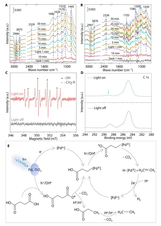 乔世璋院士团队，今年第三篇Science 子刊！