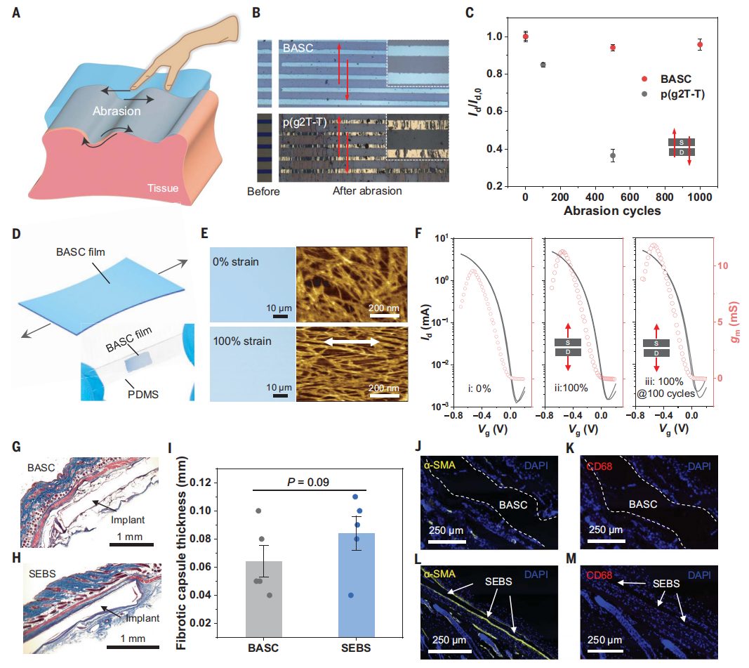 他，时隔三月，发完Nature Materials再发Science！