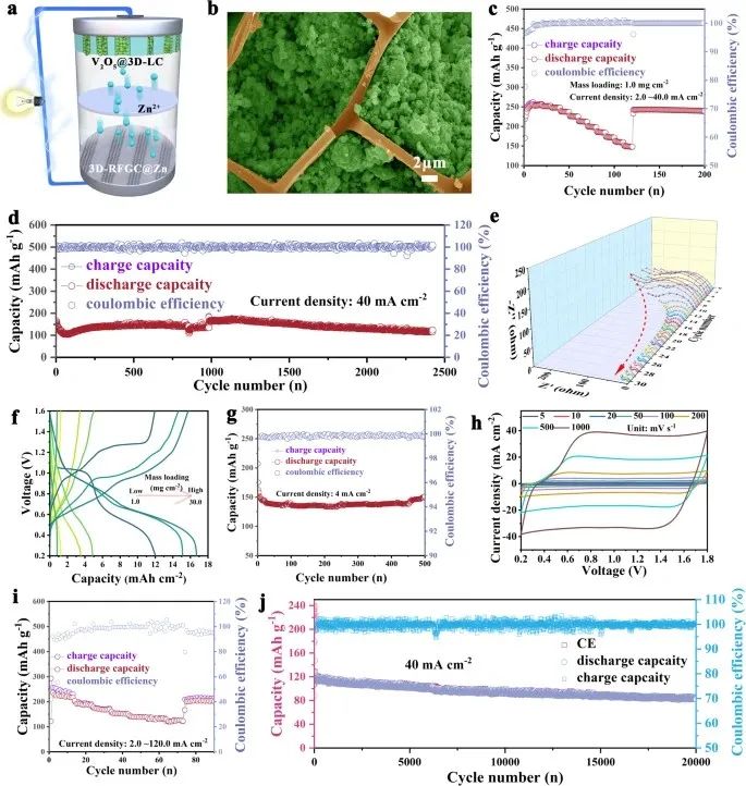 赵天寿院士团队，最新Nature子刊！