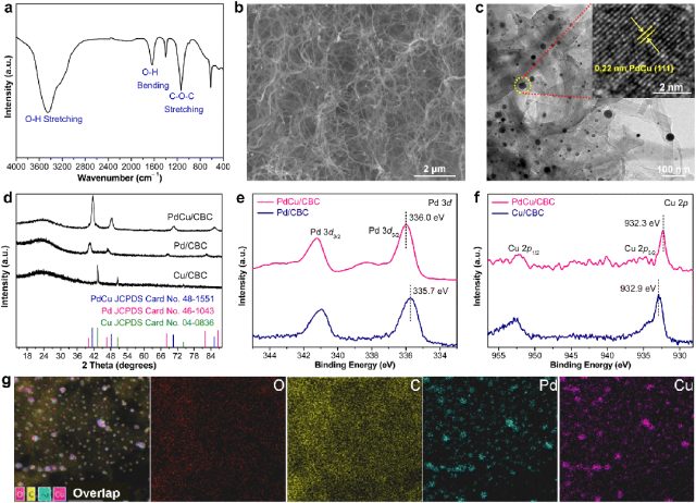 【DFT+实验】EES Catalysis：通过细菌纤维素调控的Pd-Cu双金属催化剂高效电合成尿素