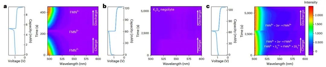 卢怡君团队，最新Nature Energy！