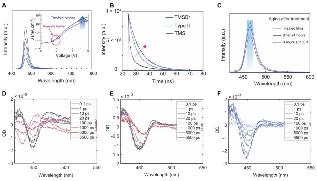 超燃！他，Nature Catalysis、Science Advances再次背靠背！