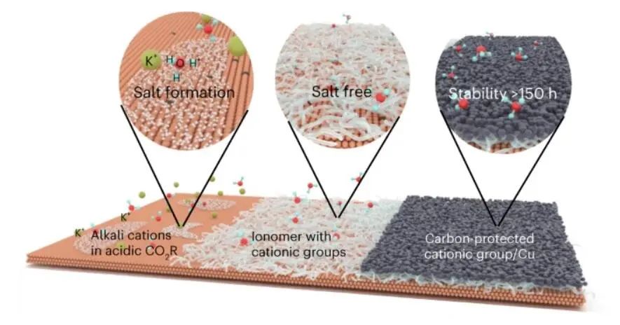 院士联合出击！多伦多大学/奥克兰大学最新Nature Catalysis！