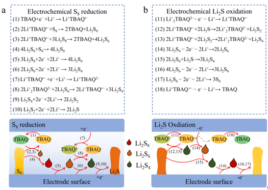 【DFT+实验】河南大学赵勇团队Angew：半醌双功能液相催化剂构建S↔Li2S固/液/固反应路径提升锂硫电池性能新进展