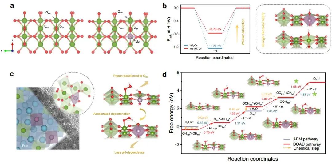 ​【DFT+实验】天大/西交Nat. Commun.：重构Ir-O-Mo，助力酸性水氧化！