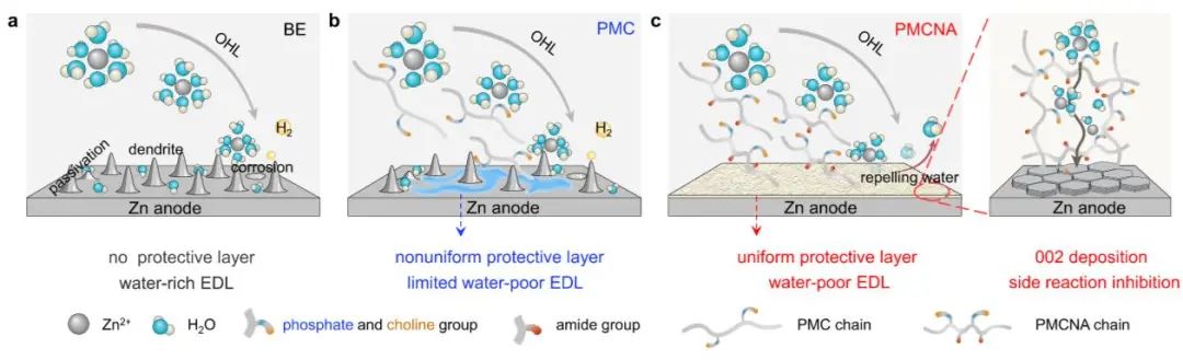 电池顶刊集锦：Angew、ACS Energy Lett.、AFM、ACS Nano等成果！