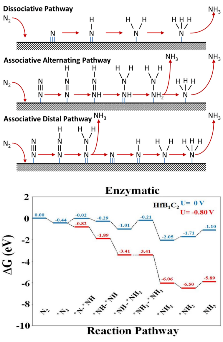 Nature已发！华算科技11月客户成果超70篇：JACS、Angew、EES等顶刊狂发！