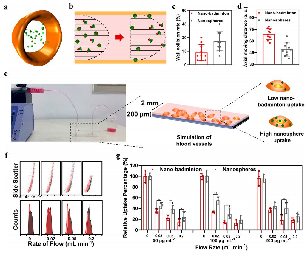 ​赵东元院士，最新JACS！