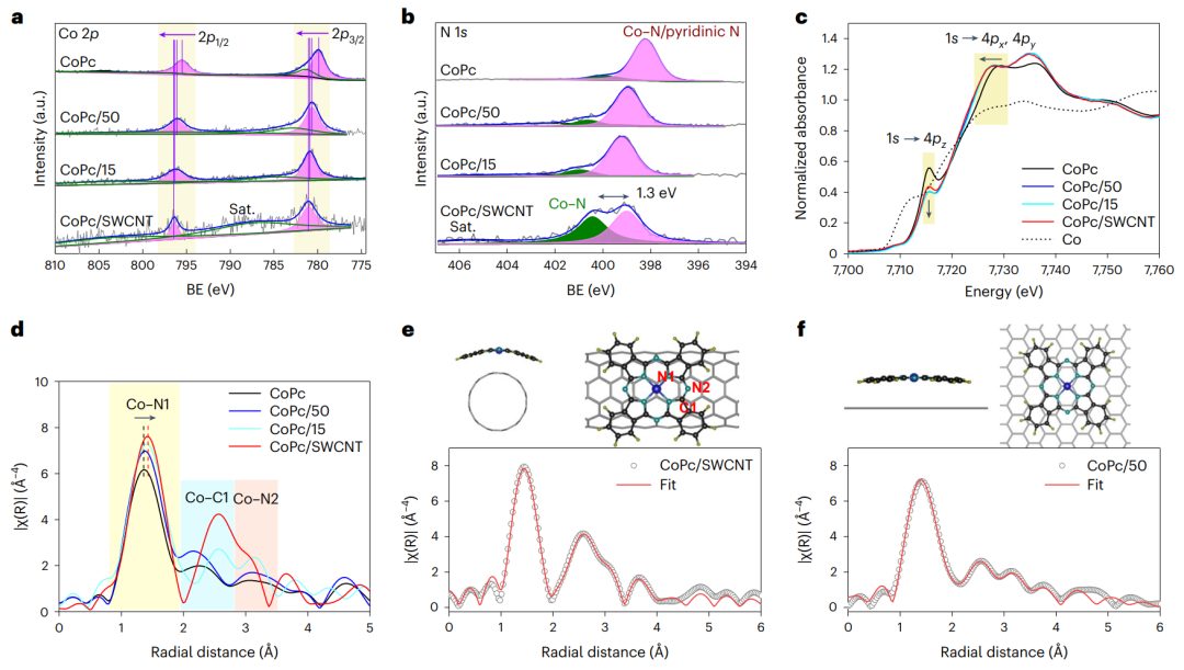 香港城市大学叶汝全团队，最新Nature Catalysis！给单原子催化剂施加一点应变，效果更好！