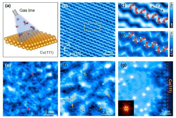 郭静/曹端云/郭庆JACS：STM/AFM结合理论计算，证实界面水促进Cu(111)上甲酸去质子化