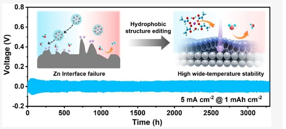 深大张培新/马定涛ACS Energy Letters：微量添加剂实现水系锌金属电池宽温稳定循环