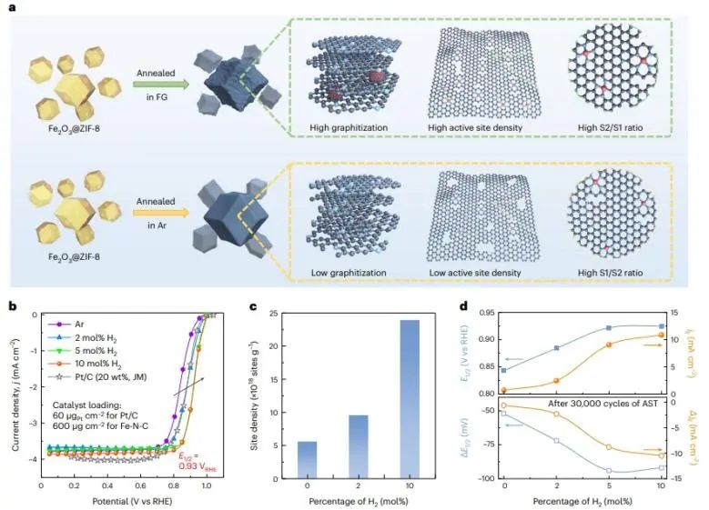 ​四单位联合Nature Catalysis：热活化气氛中加点H2，打破Fe-N-C催化剂活性-稳定性的权衡