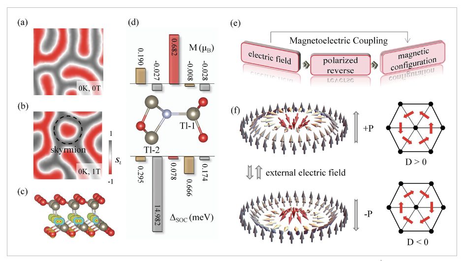 【纯计算】AFM：二维晶格中的d0磁性skyrmions