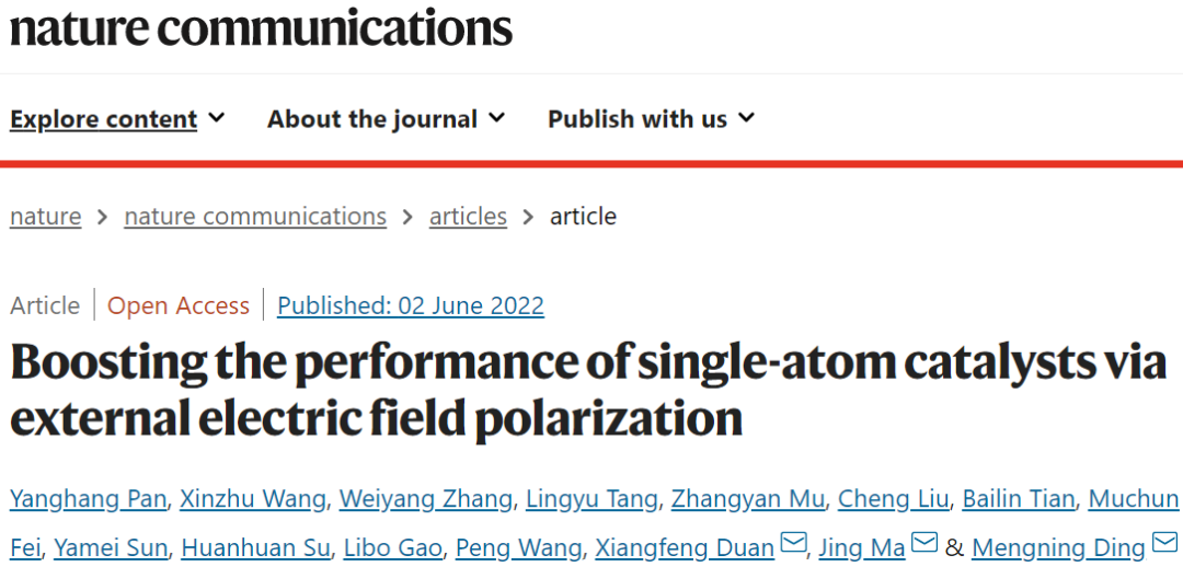 丁梦宁/马晶/段镶锋Nature子刊：单原子催化剂新进展！