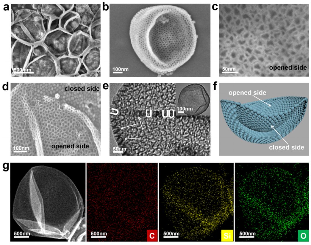 赵东元院士，最新JACS！