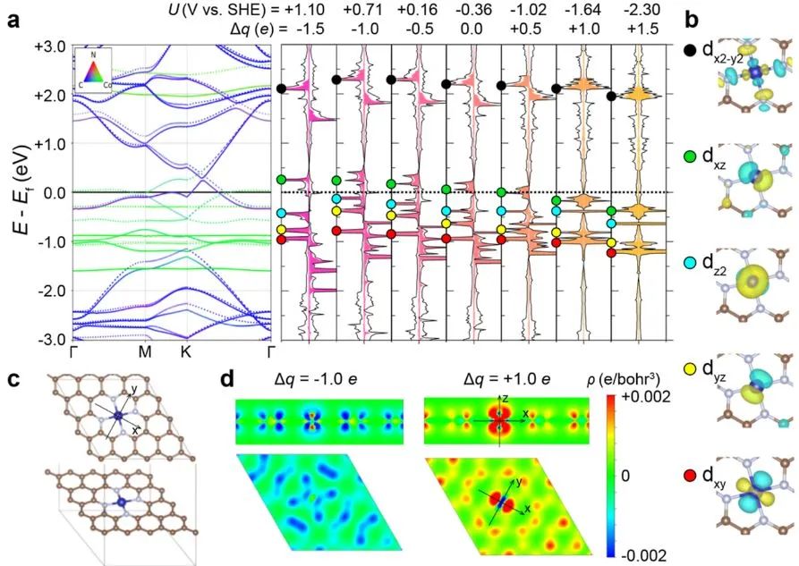 南开大学​JACS：M-N-C单原子催化剂中电势驱动的吸附能反转