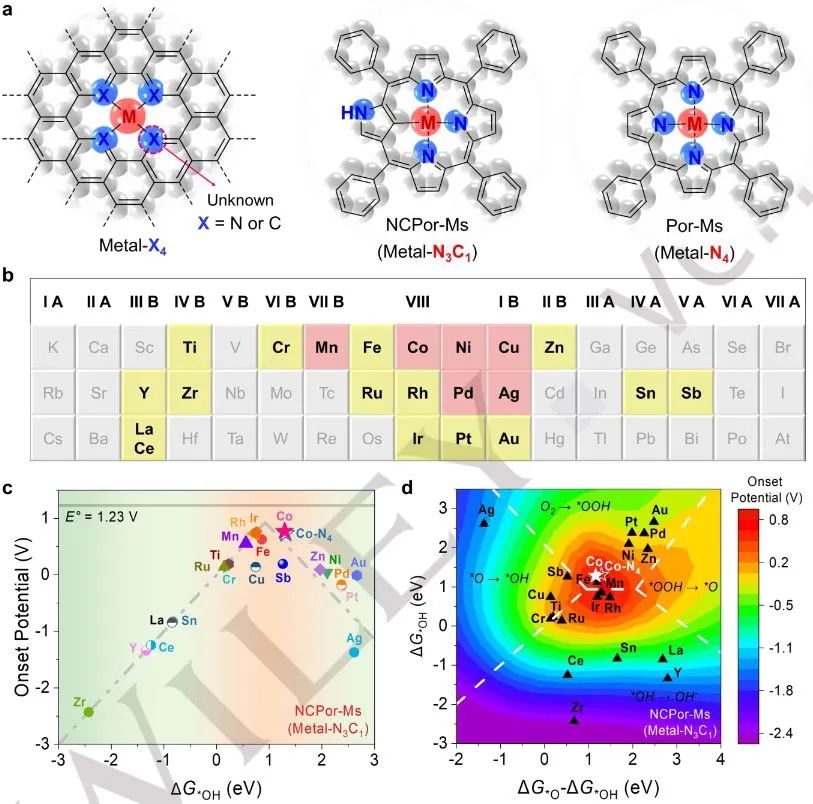 计算日报||顶刊集锦：Nature子刊/JACS/AFM/Angew/ACS Catal.等成果