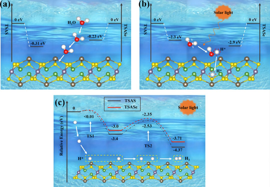【MS计算解读】CASTEP+DMol3模块阐明光催化剂析氢活性提高机理