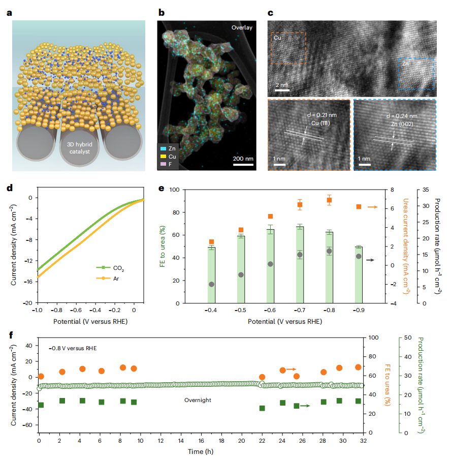 超燃！他，Nature Catalysis、Science Advances再次背靠背！