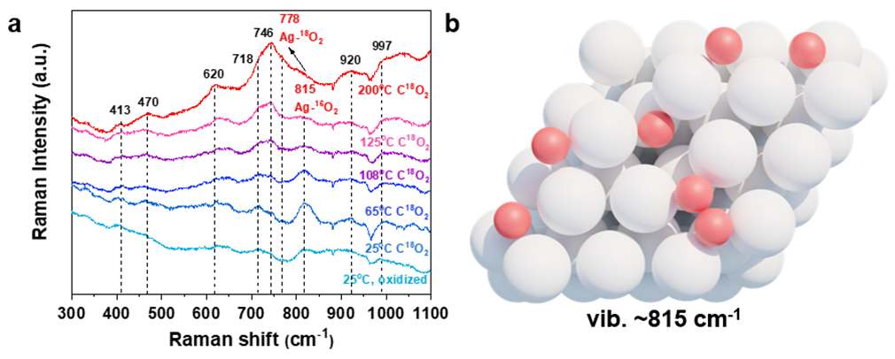 ACS Catalysis：原位拉曼+SSITKA，银催化乙烯环氧化的全新机理解析