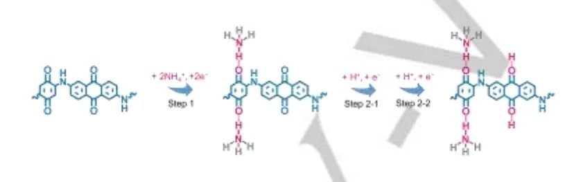 ​同济刘明贤Angew：有机超结构中非金属NH4+/H+电荷载体共储能机制构建高性能水系锌-有机电池