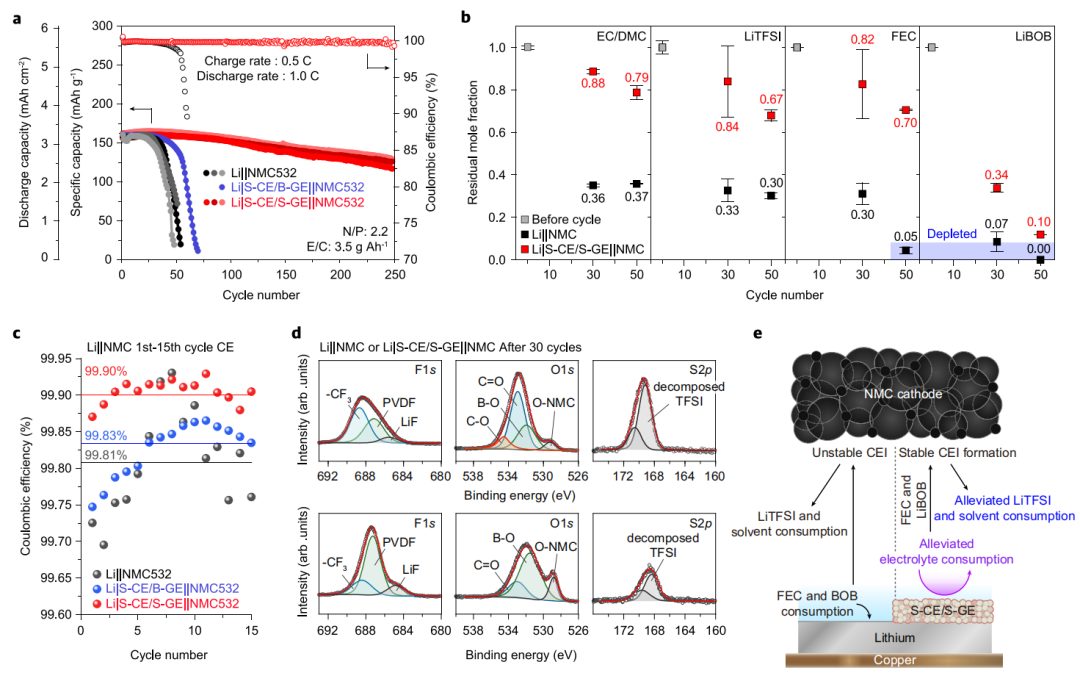 Nature子刊：迁移数0.96！单离子导体助力高能锂金属电池