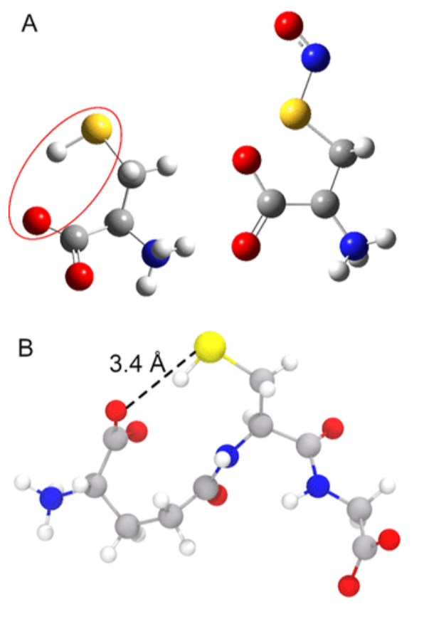 【纯计算】JACS: 铜金属-有机骨架催化S-亚硝基谷胱甘肽生成NO机制的计算研究