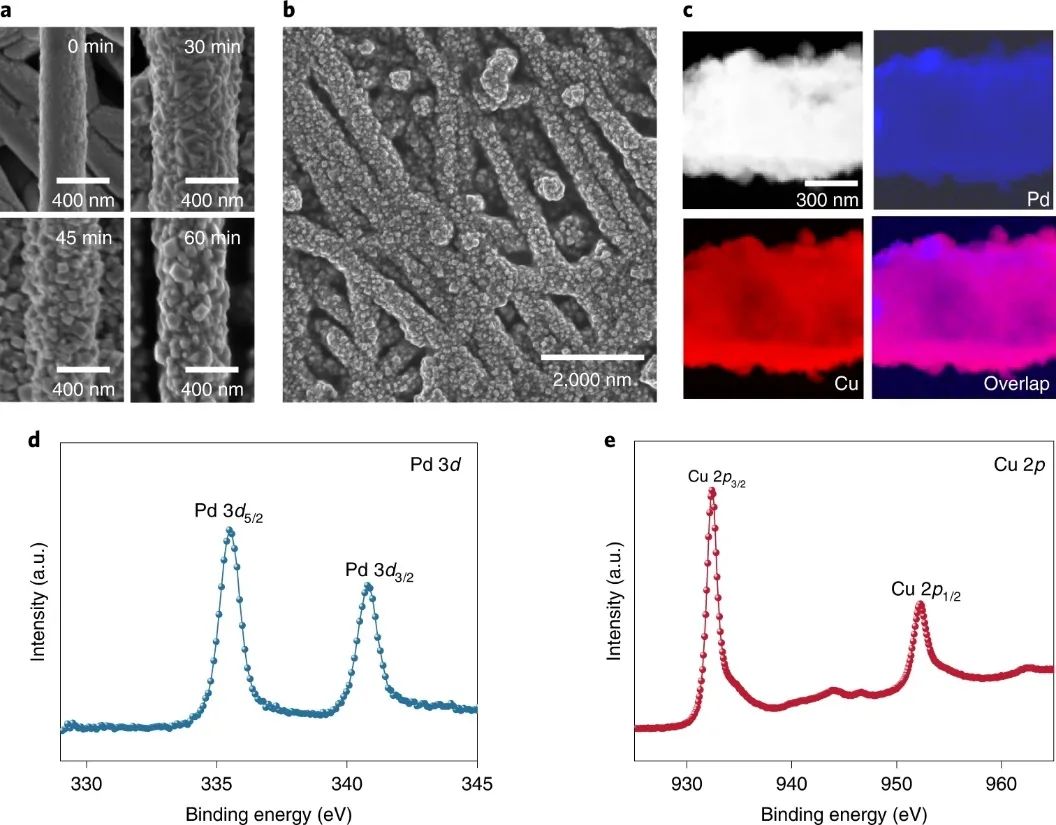 Edward H. Sargent院士和王莹教授，最新Nature Catalysis！