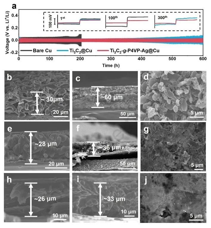 ​中大符若文/刘绍鸿Carbon：银纳米颗粒修饰的 MXene 基聚合物刷实现高稳定锂金属电池